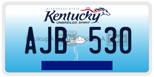 AJB530  license plate in KY