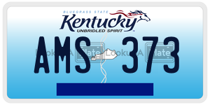 AMS373  license plate in KY
