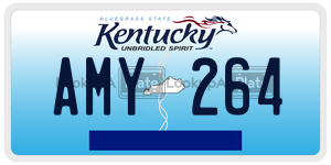 AMY264  license plate in KY