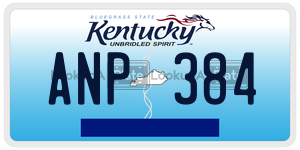 ANP384  license plate in KY