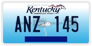 ANZ145  license plate in KY