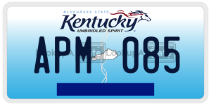 APM085  license plate in KY