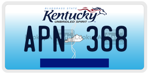 APN368  license plate in KY