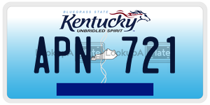 APN721  license plate in KY