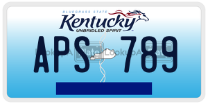 APS789  license plate in KY