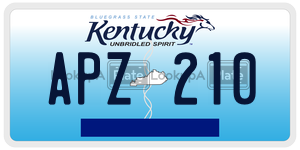 APZ210  license plate in KY