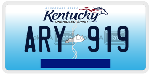 ARY919  license plate in KY