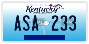 ASA233  license plate in KY