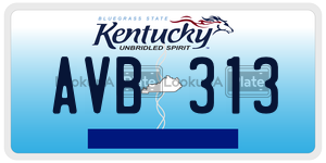 AVB313  license plate in KY