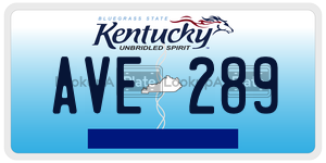 AVE289  license plate in KY