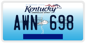 AWN698  license plate in KY