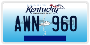 AWN960 license plate in Kentucky