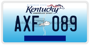AXF089  license plate in KY