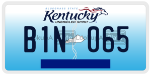 B1N065  license plate in KY