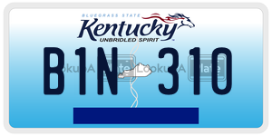 B1N310  license plate in KY