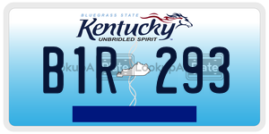 B1R293  license plate in KY