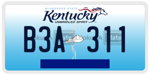 B3A311  license plate in KY
