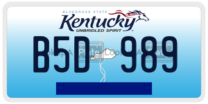 B5D989  license plate in KY