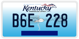 B6E228  license plate in KY