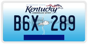 B6X289  license plate in KY
