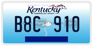 B8C910  license plate in KY