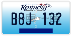 B8J132  license plate in KY