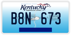 B8N673  license plate in KY