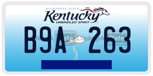 B9A263  license plate in KY