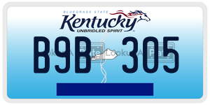 B9B305  license plate in KY