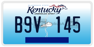 B9V145  license plate in KY
