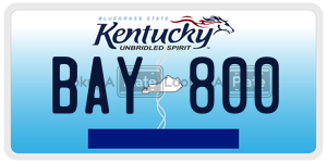 BAY800  license plate in KY