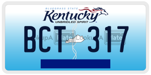 BCT317  license plate in KY