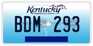 BDM293  license plate in KY