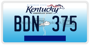 BDN375  license plate in KY