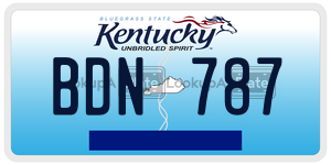 BDN787  license plate in KY