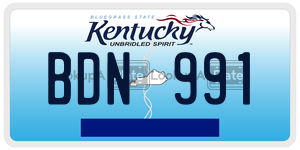 BDN991  license plate in KY
