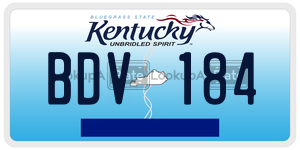 BDV184  license plate in KY
