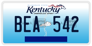 BEA542  license plate in KY