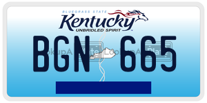 BGN665 license plate in Kentucky