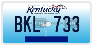 BKL733  license plate in KY