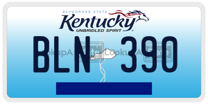 BLN390  license plate in KY