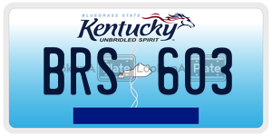 BRS603  license plate in KY