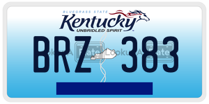 BRZ383  license plate in KY