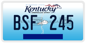 BSF245  license plate in KY