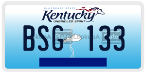 BSG133 license plate in Kentucky