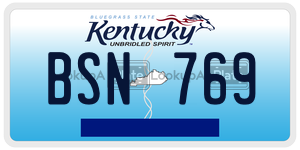 BSN769  license plate in KY