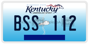 BSS112  license plate in KY