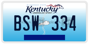 BSW334 license plate in Kentucky