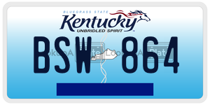 BSW864  license plate in KY