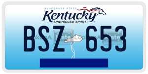 BSZ653  license plate in KY